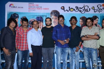 Banthi Poola Janaki Movie Release Date Press Meet
